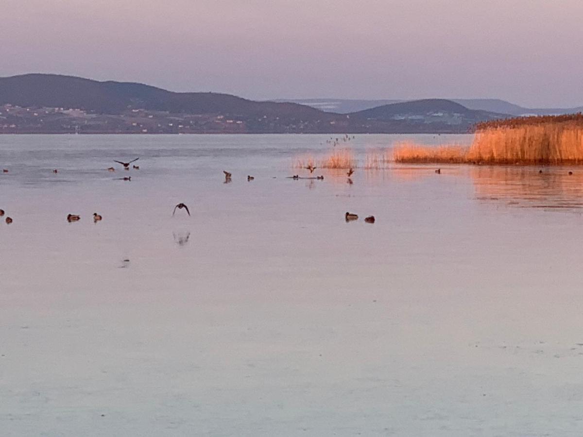 Topart Apartman I Balatonfenyves Exterior foto